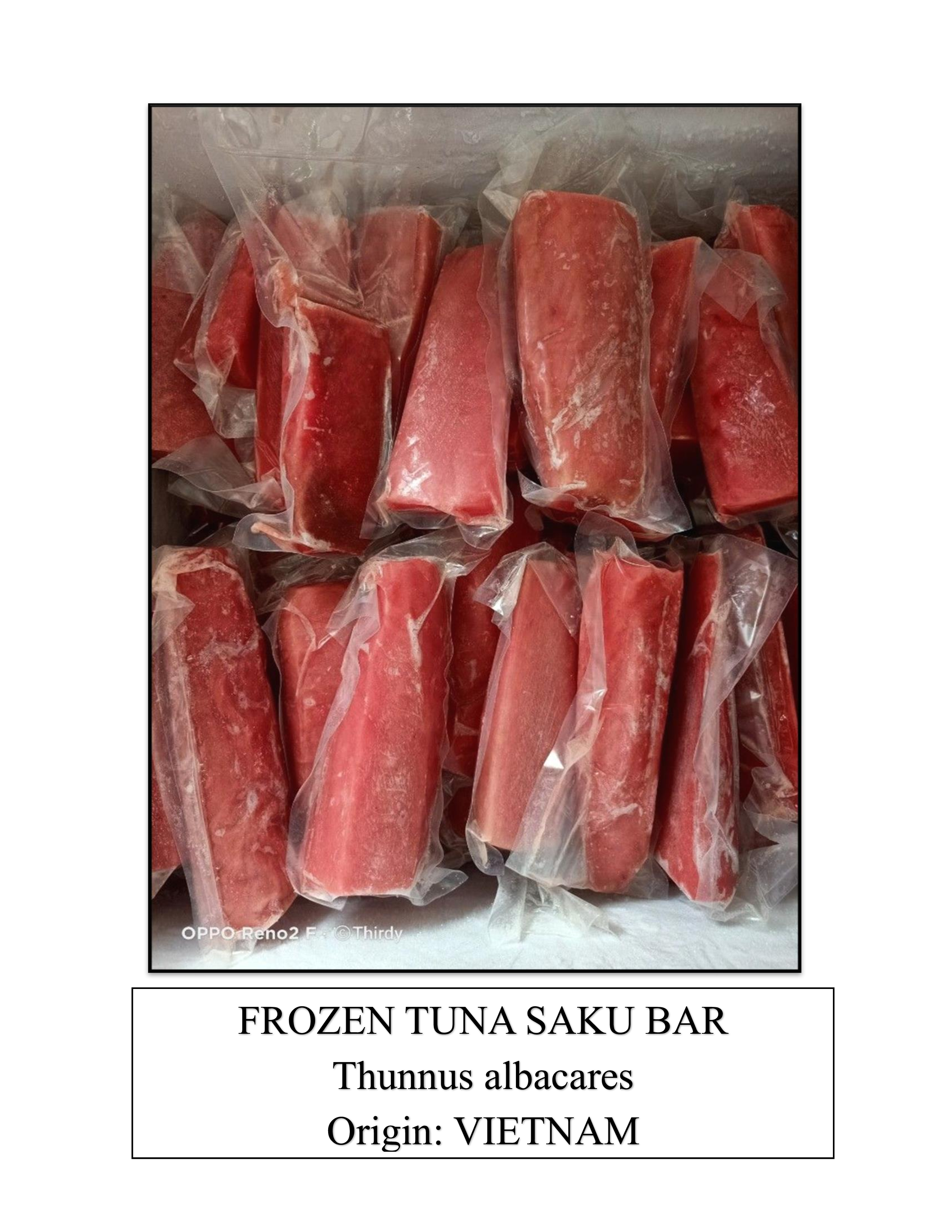 Frozen Tuna Saku Bar